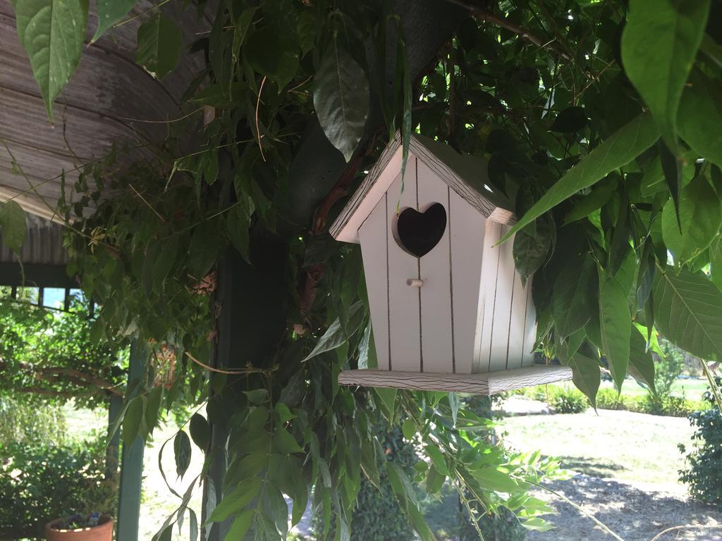 Birchwood Cottage Yarck 외부 사진