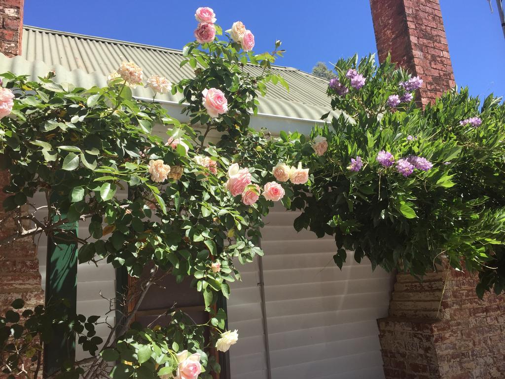 Birchwood Cottage Yarck 외부 사진